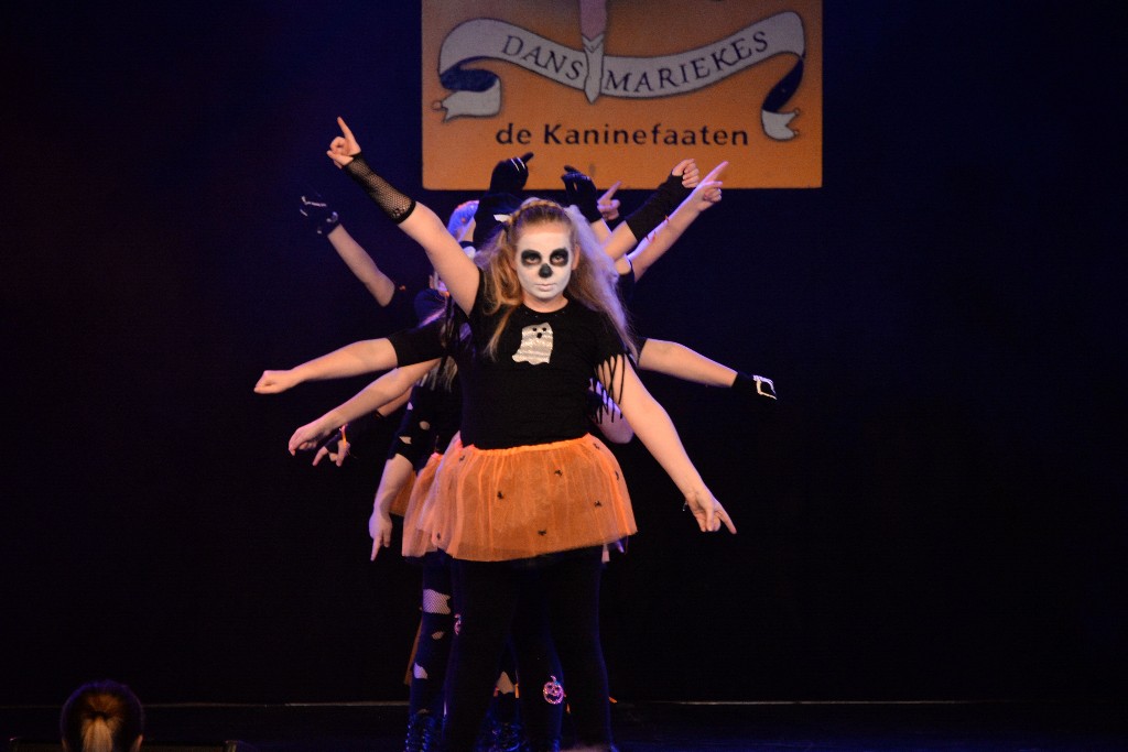 ../Images/Dansmariekefestival 2019 346.jpg